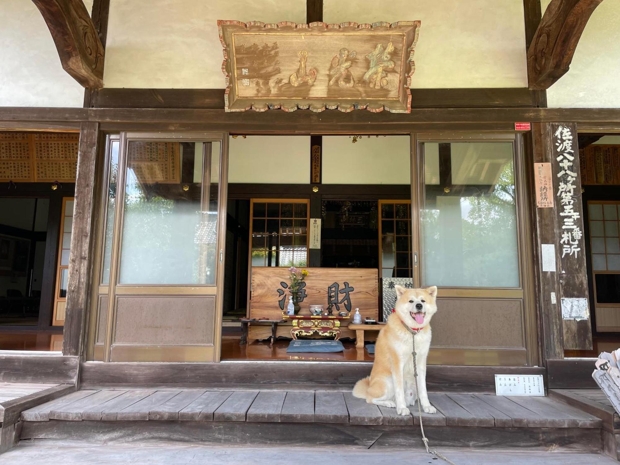 Temple Stay 玉林寺 Sado Esterno foto